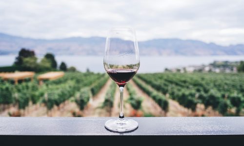 Margaret River vineyard with a glass of red wine
