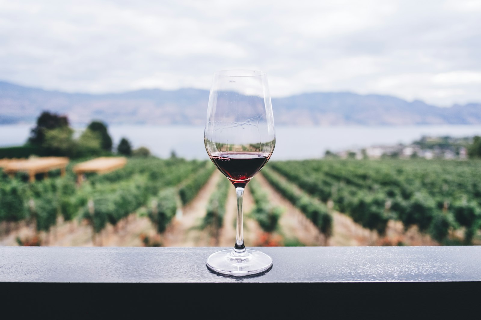 Margaret River vineyard with a glass of red wine