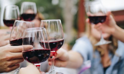 Guests toasting on a Margaret River wine tour
